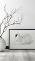 Mute Swan - Aert Schouman Art Mockup