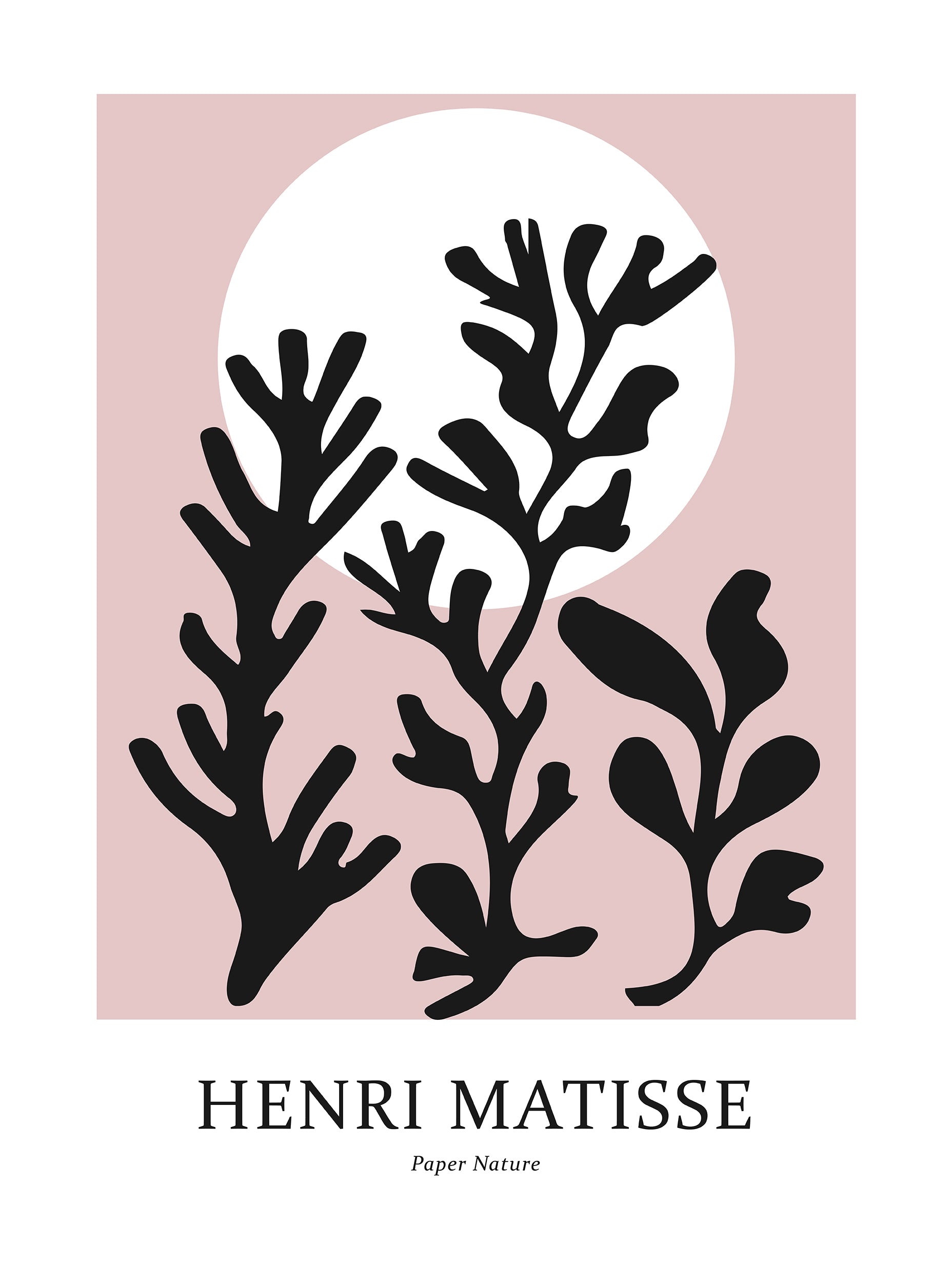 Paper Nature No.3 - Henri Matisse
