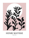 Paper Nature No.3 - Henri Matisse