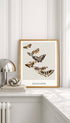 Japanese Butterfly - Kamisaka Sekka Art Print No 2 Mockup