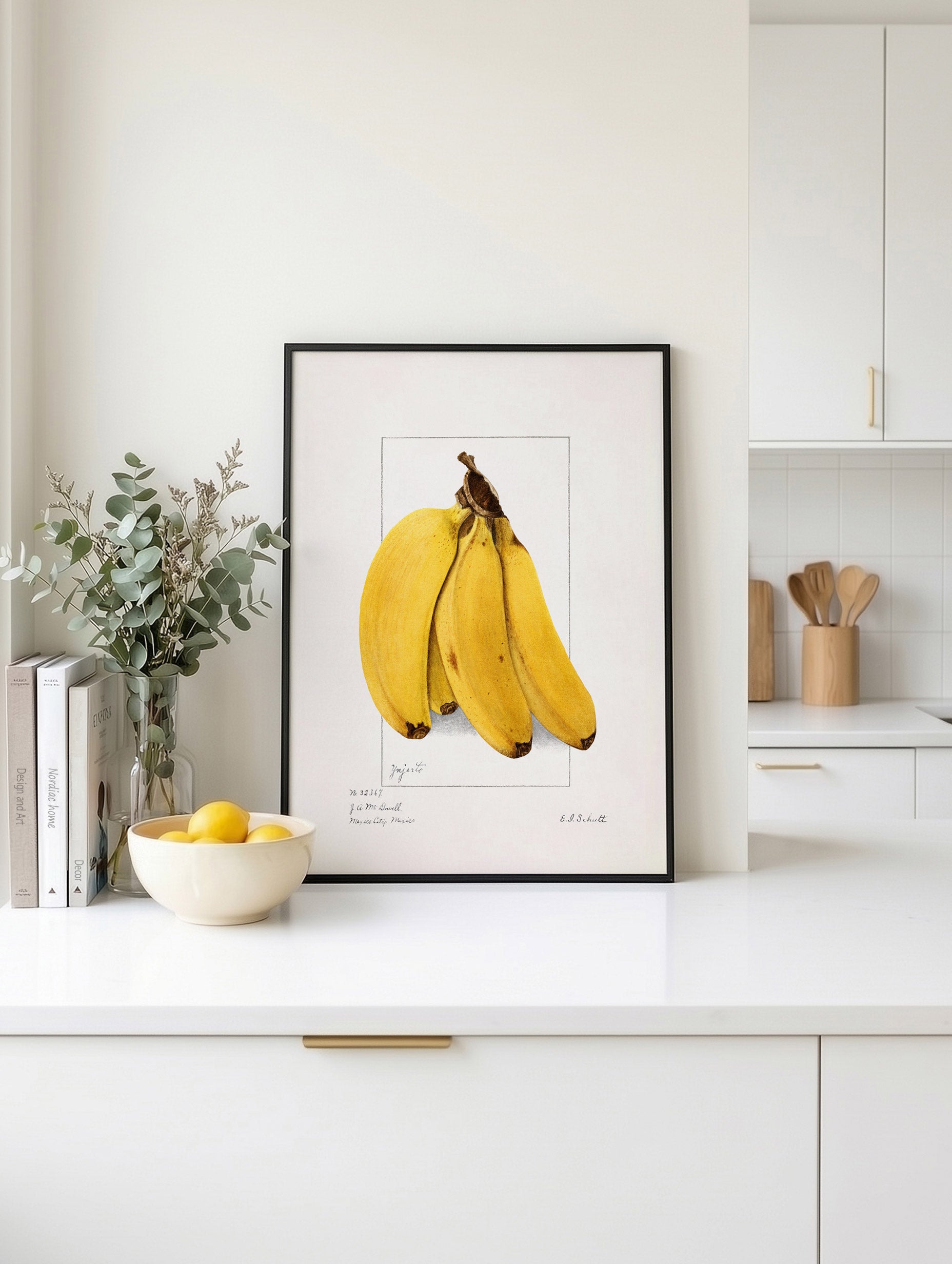 Bananer (Musa) - Ellen Isham Schutt