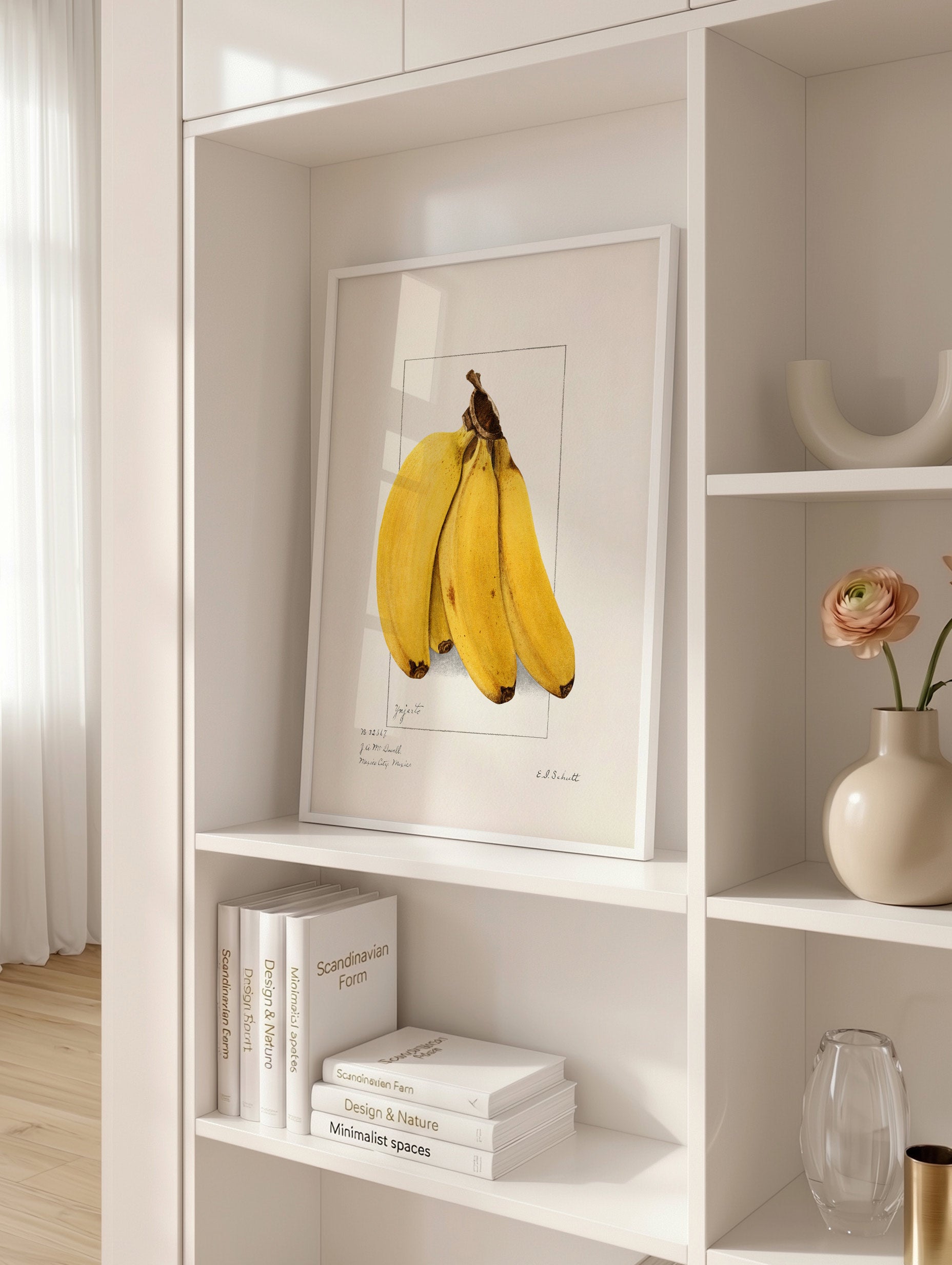 Bananer (Musa) - Ellen Isham Schutt