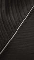 Black Texture Poster 