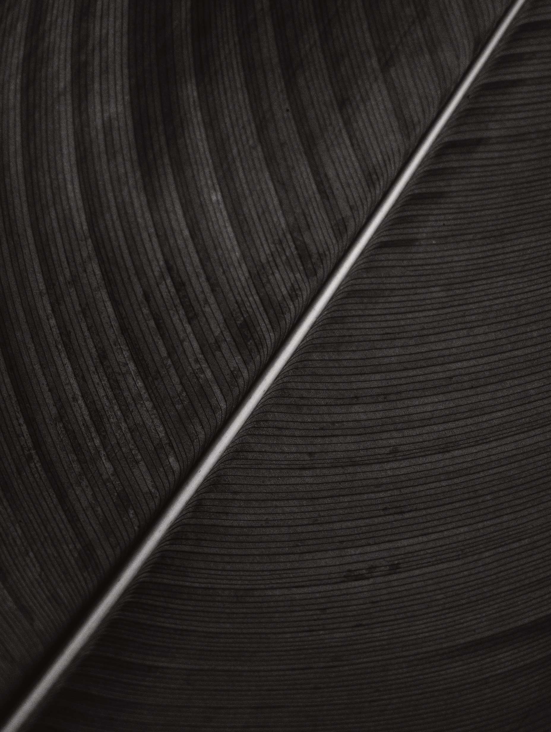 Black Texture Poster 