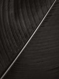 Black Texture Poster 