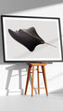 Stingray Animal Poster Mockup