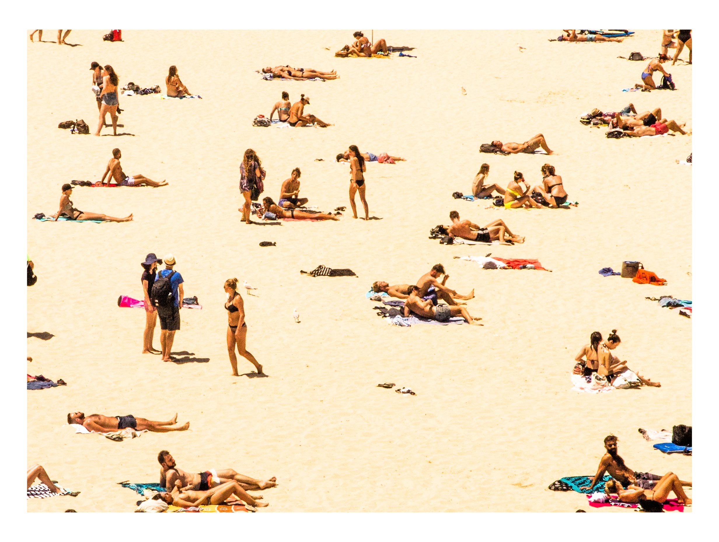 Sunlit Bondi Beach
