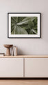 Agave Botanical Poster Mockup 