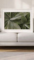 Agave Botanical Poster Mockup 