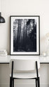 Misty Pine Forest Black and White Poster Mockup