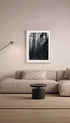 Misty Pine Forest Black and White Poster Mockup