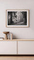 Pathway in a Foggy Woods Poster