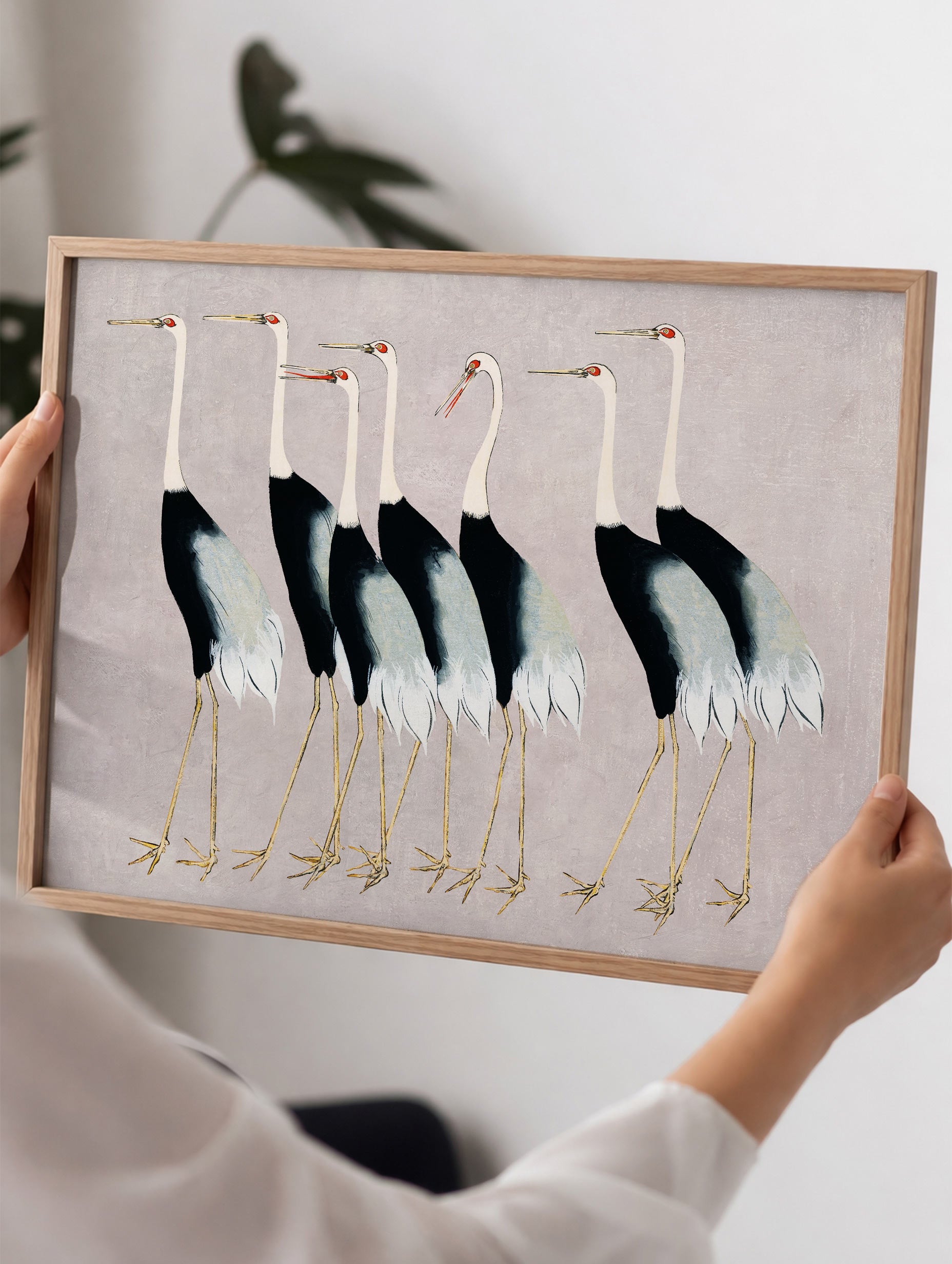 Flock of Japanese Red Crown Cranes Ogata Kōrin Art Print Mockup