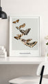 Japanese Butterfly - Kamisaka Sekka Art Print No 2 Mockup