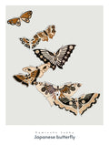 Japanese Butterfly - Kamisaka Sekka Art Print No 2 