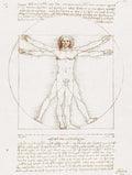 Vitruvian Man - Leonardo Da Vinci