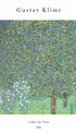 Rosebushes under the Trees - Gustav Klimt 