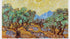 Olive Trees - Van Gogh Art Print
