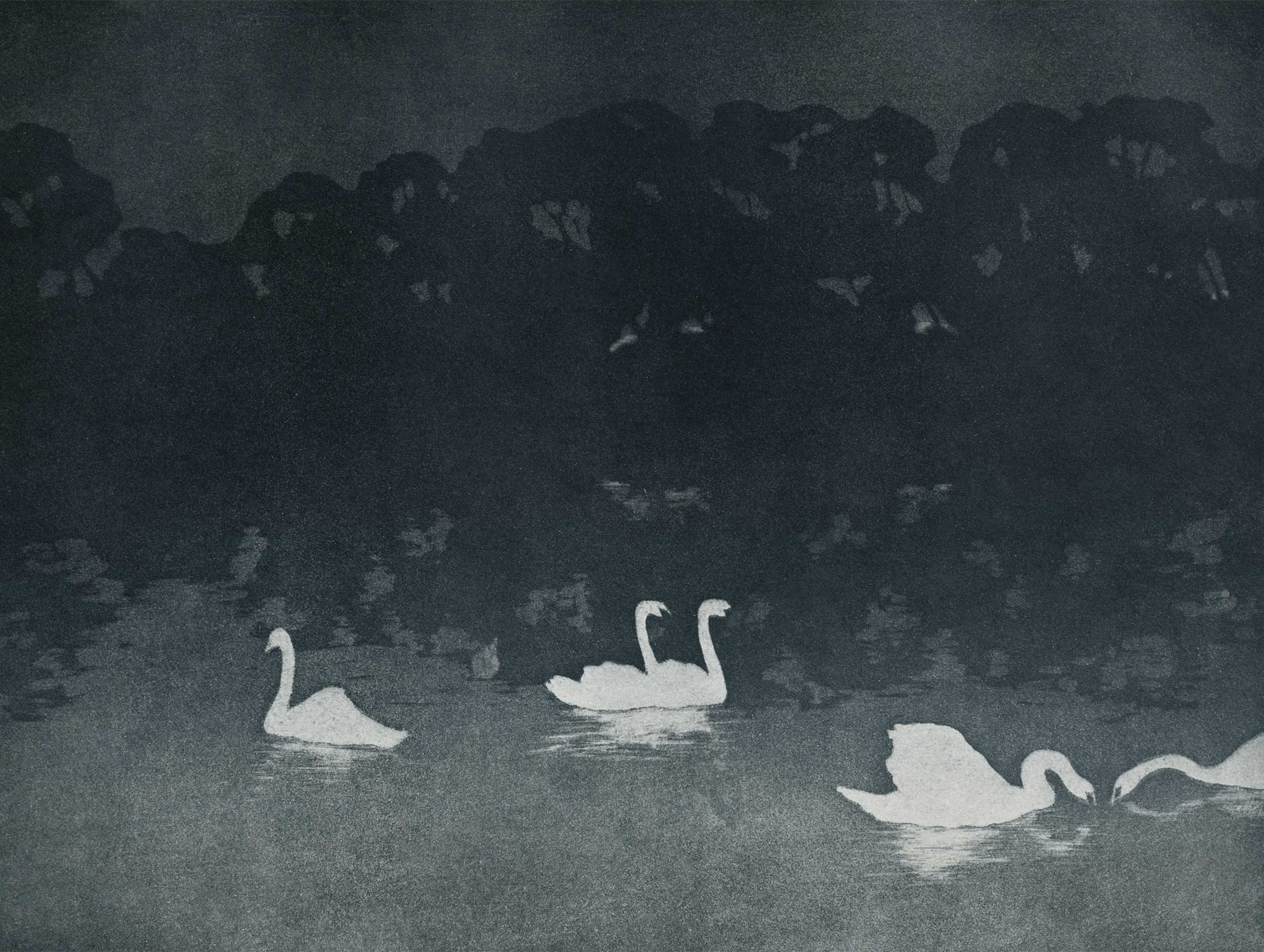 Les Cygnes 1899 - Francis Jourdain Art Print