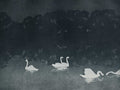 Les Cygnes 1899 - Francis Jourdain Art Print