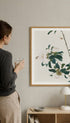Insects and Flowers - Ju Lian Mockup