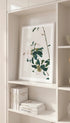 Insects and Flowers - Ju Lian Mockup