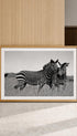 Zebra Hug Poster Mockup 