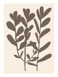 Beige Grafisk Lövposter Nr 1