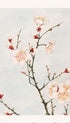 Plum branches with blossoms - Megata Morikaga