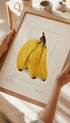 Bananas Musa _ Ellen Isham Schutt Mockup