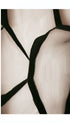 Abstract Poster