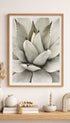 Agave Core Botanical Poster Mockup