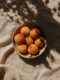 Apricots in a Bowl Fruit Artwork