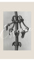 Aristolochia clematitis Karl Blossfeldt Art Print