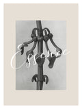 Aristolochia clematitis Karl Blossfeldt Art Print