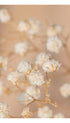Baby’s Breath Flower Poster