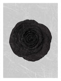 Black Rose Flower Art Print