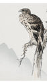 Black Eared Kite Japanese Art Print
