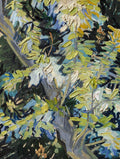 Blommande akaciagrenar - Van Gogh