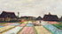 Bulb Fields - Van Gogh