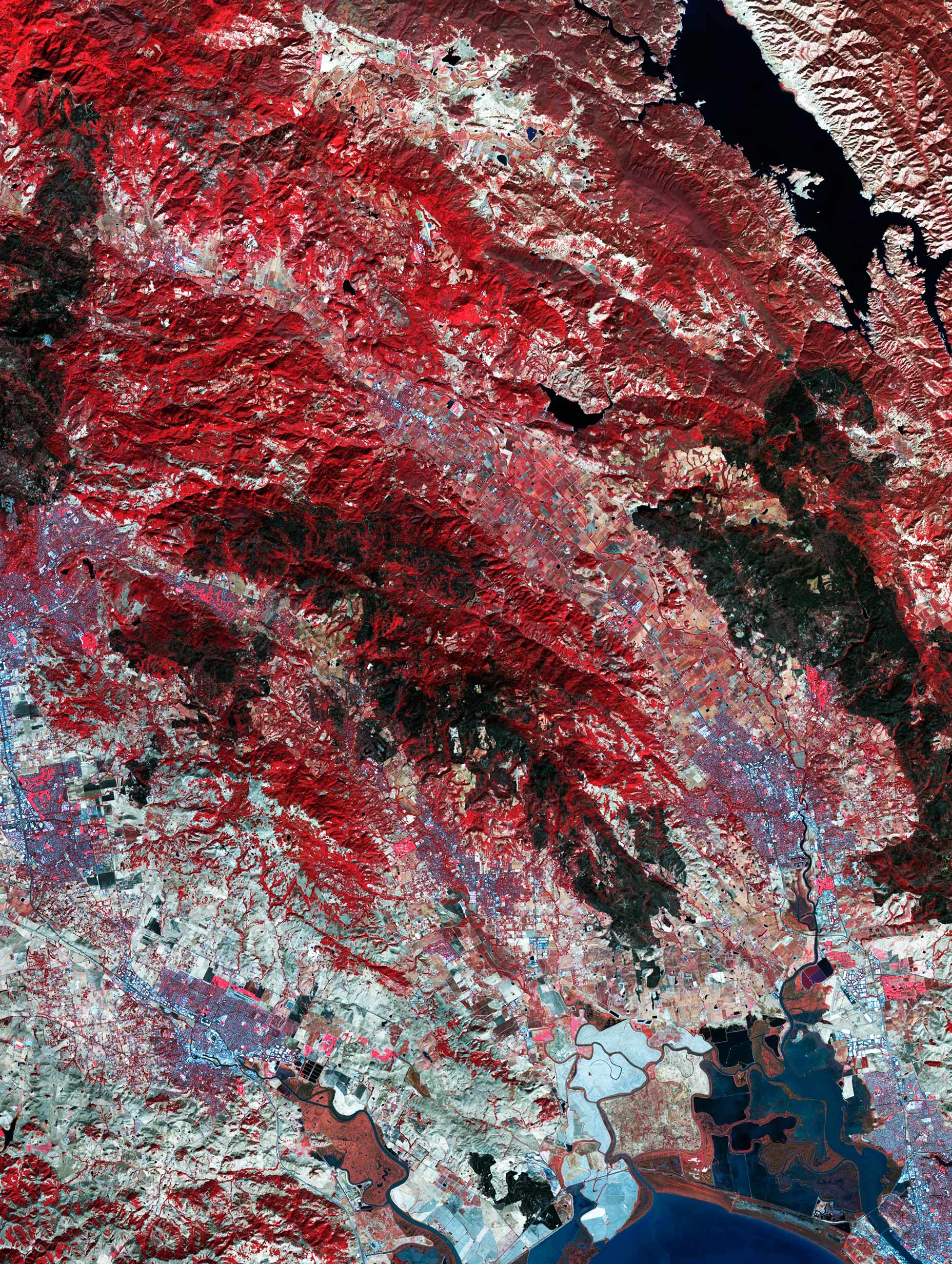 Burn Scars on California's Wine Country Abstract Art Print