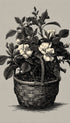 Cape Jasmine Basket Botanical Poster