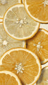 Citrus Fruit Slices Artwork