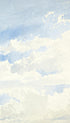 Cloud Study Aaron Edwin Penley Art Print