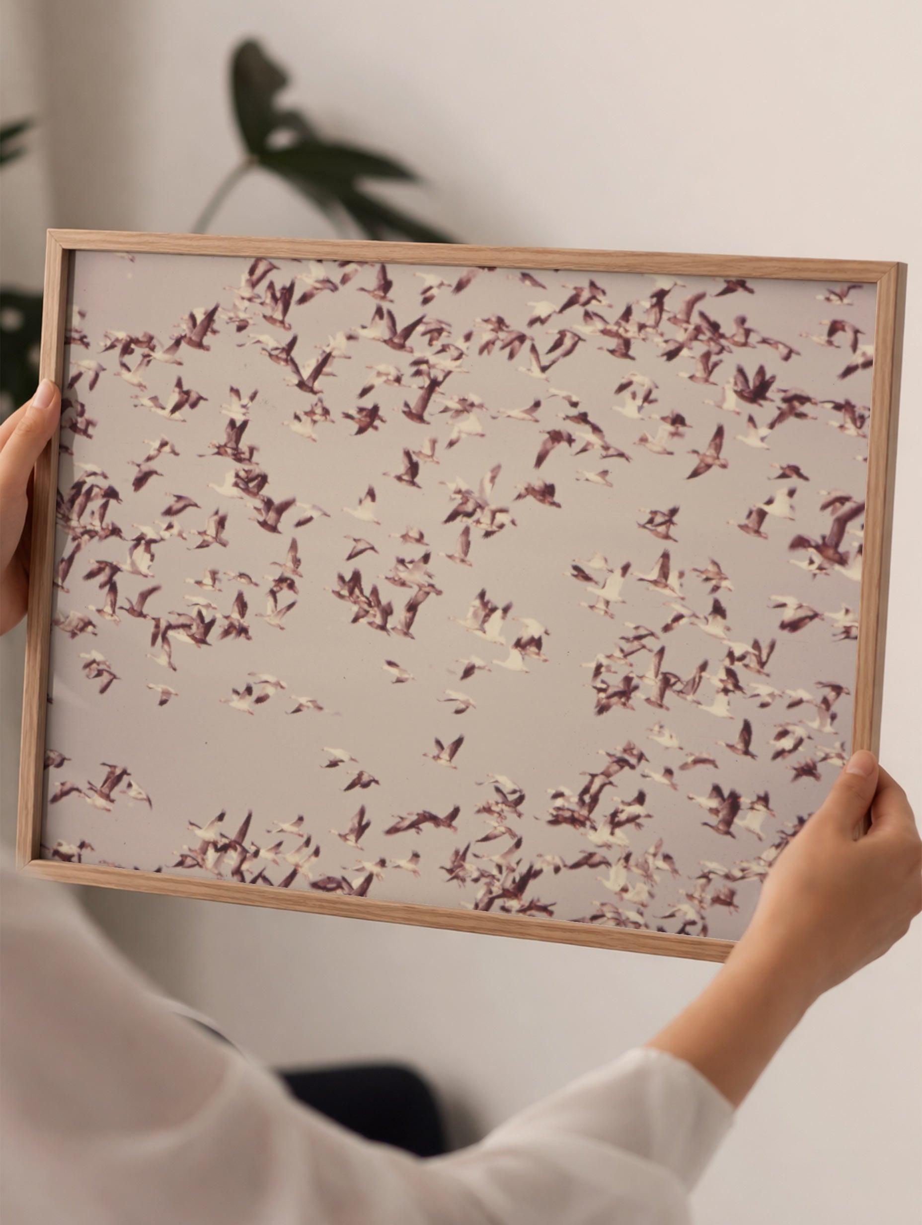 Flock of Snow Geese Poster Mockup
