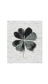 Four-Leaf Clover Leaf Art Print