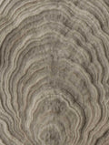 Geode Pattern Rug Abstract Art Print