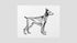 Greyhound Dog Animal Poster