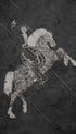 Hacienda Horse and Rider neon sign in Las Vegas Animal Art Print