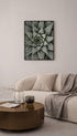 Haworthiopsis Limifolia Flower Poster Mockup